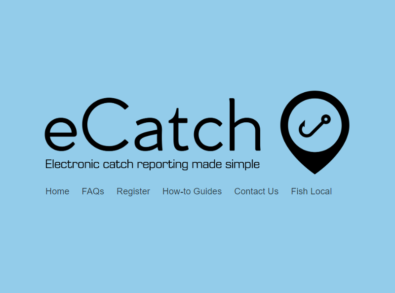 ecatch-logo-800-594